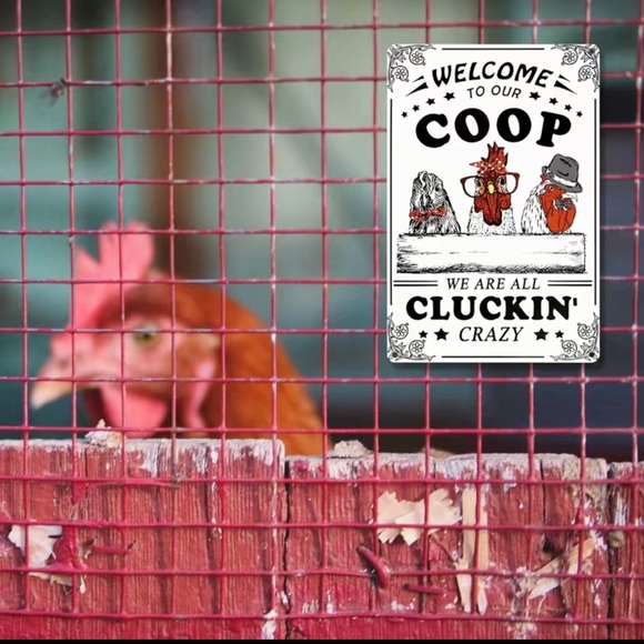 Funny Chicken Sign - Picture 4 of 7